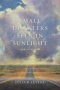 Small Disasters Seen in Sunlight: Poems