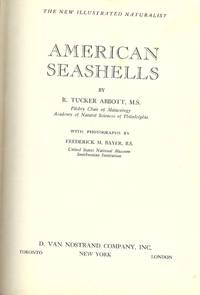 AMERICAN SEASHELLS