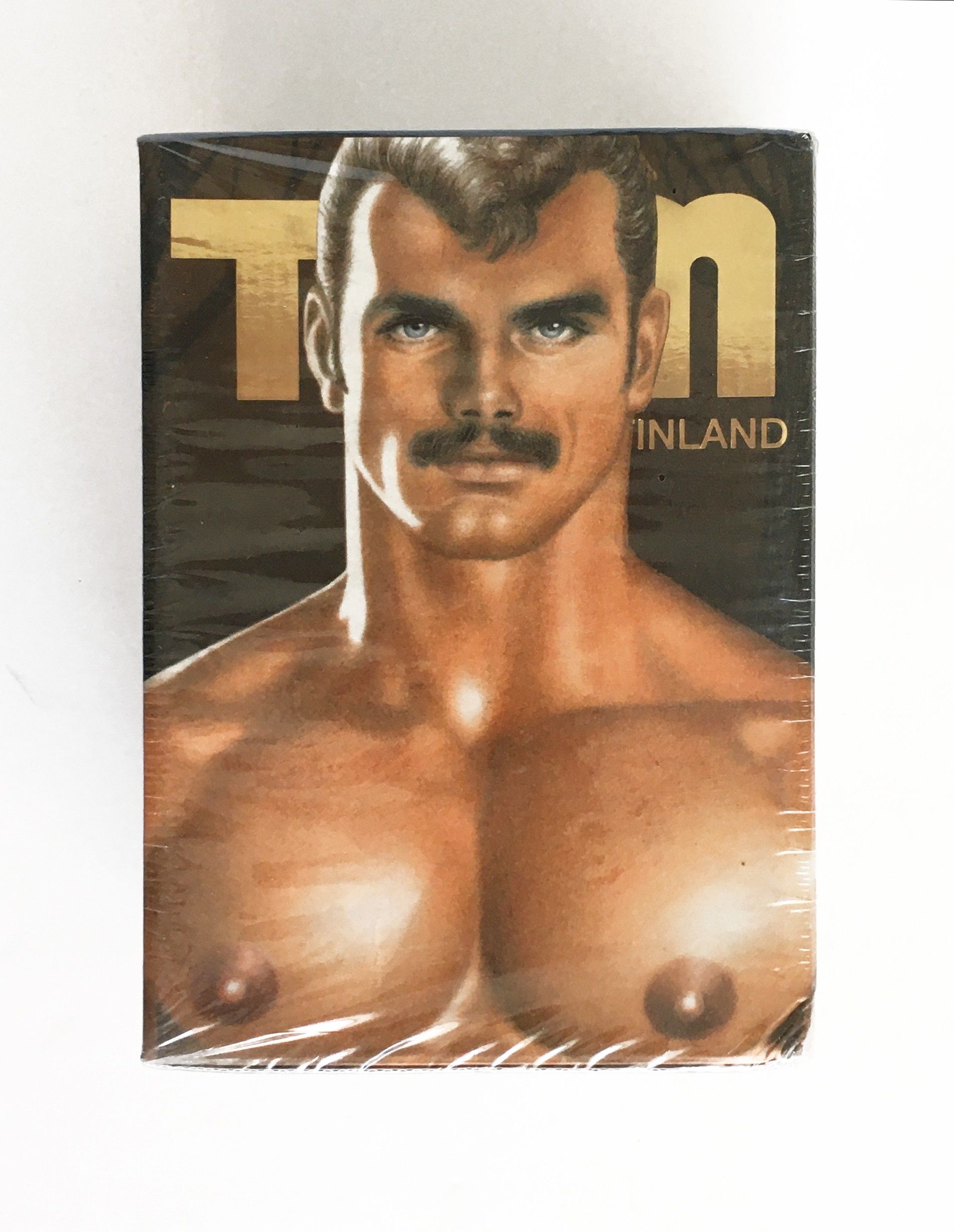 Tom of Finland: the Comic Collection The Art of Pleasure (Boxed