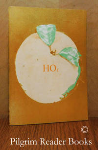 image of Hollow Orange 5 - HO5