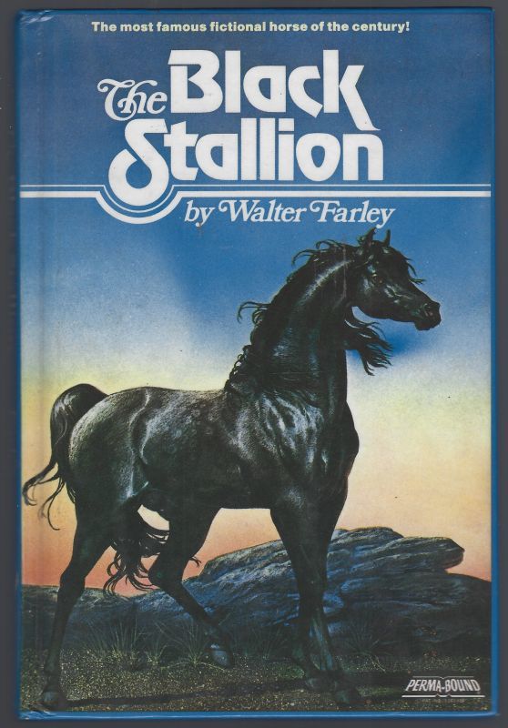 BLACK STALLION