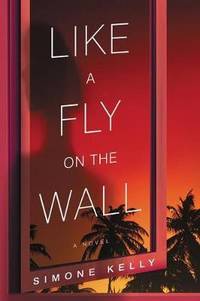 Like a Fly on the Wall