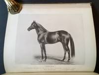 History in Brief of "Leopard" and "Linden", General Grant's Arabian Stallions, Presented to Him by the Sultan of Turkey in 1879. Also Their Sons "General Beale", "Hegira" and "Islam", Bred by Randolph Huntington. Also Reference to the Celebrated Stallion "Henry Clay