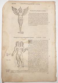 image of 16th-century leaf with illustrations of deformed births including a human-headed horse, a child born with wings, and a girl born with two heads from Ambroise Paré's Monsters