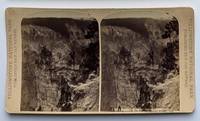 Grand Canyon of the Yellowstone. 1082. [Stereoview]