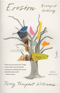 Erosion: Essays of Undoing