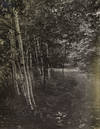 View Image 6 of 6 for The Agony and the Ecstasy Inventory #315530