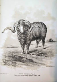 image of Special Report on the History and Present Condition of the Sheep Industry of the United States