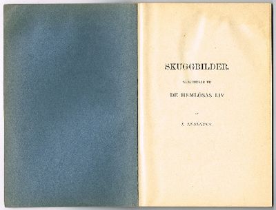 Skuggbilder. Skildringar ur de hemlösas liv.