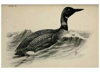 Reproducción/Reproduction 7180226645: Birdcraft :. New York :Macmillan Co.,c1897.