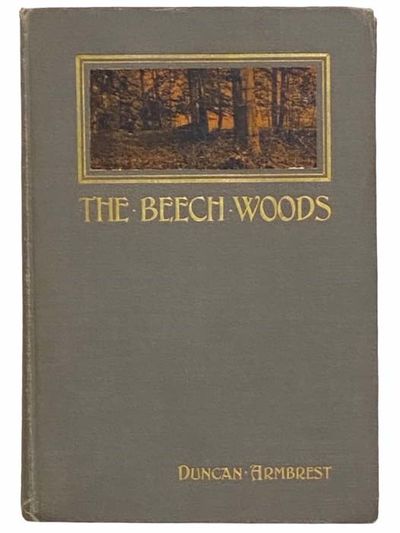 The Beech Woods: How the Neighbour Learned the Many Secrets of a Canadian Woods