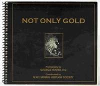 image of Not Only Gold