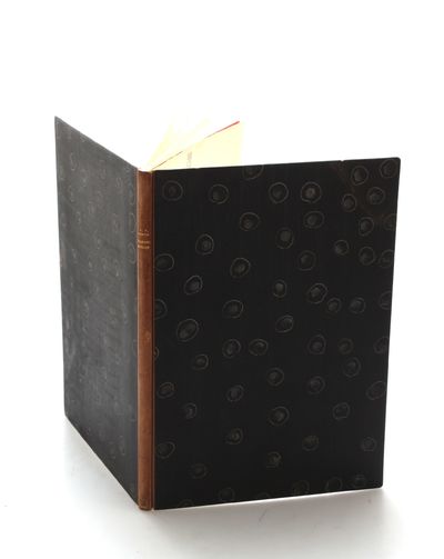 Daniel Hvidt: Et Udvalg af Billeder med…