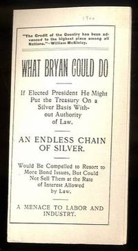 WHAT BRYAN COULD DO : IF ELECTED PRESIDENT HE MIGHT PUT THE TREASURY ON A  SILVER BASIS WITHOUT AUTHORITY OF LAW.