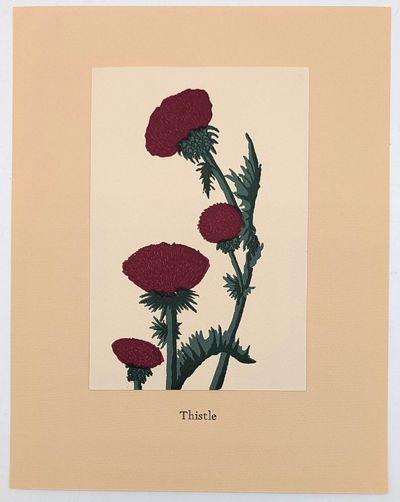 New Mexico Wildflowers: A Suite of...