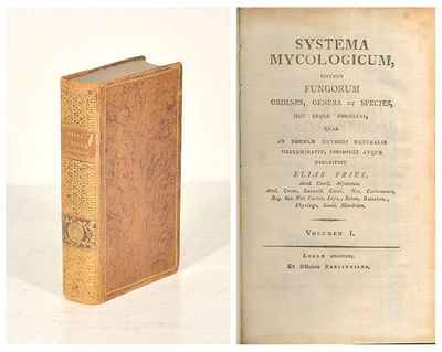 Systema mycologicum, sistens fungorum ordines,…