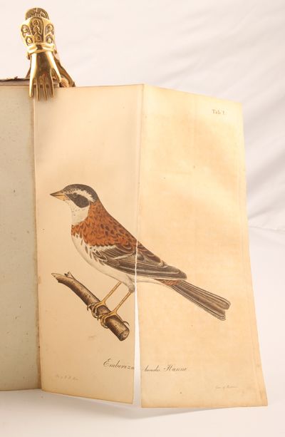 Resa genom Sweriges och Norriges Lappmarker, förrättad år 1821. 1. - 2.delen. (photo 2)