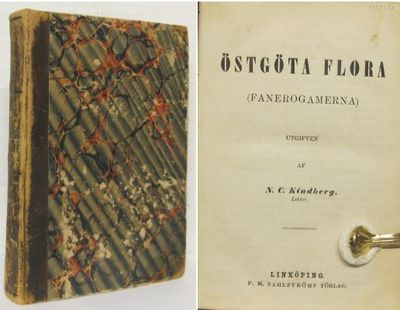 Östgöta flora. (Fanerogamerna).