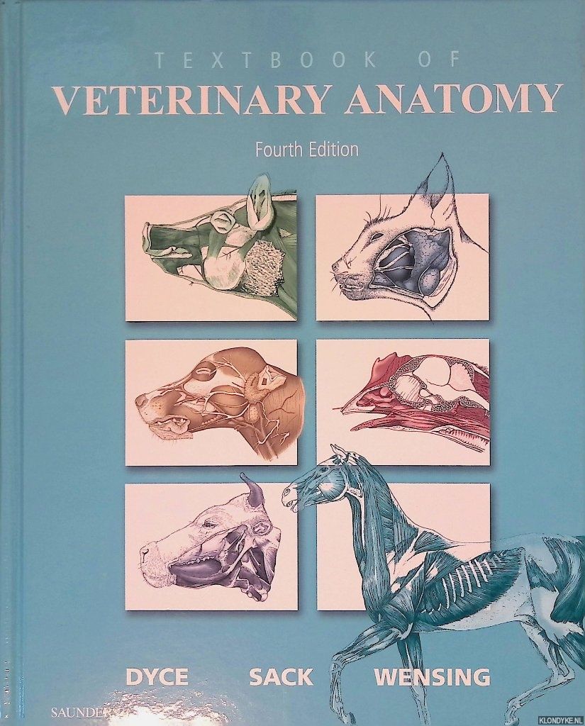 Veterinary Anatomy ベテリナリー・アナトミー Amazon.co.jp: ベテリナリーアナトミー 犬と猫の解剖カラーアトラス