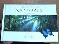 image of World heritage rainforest Australia
