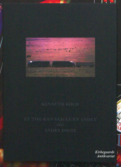 Et tog kan skjule et andet - og andre digte.