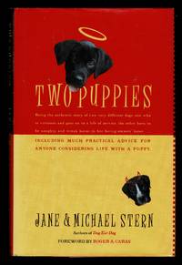 Two Puppies