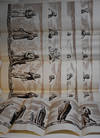 View Image 5 of 6 for CANTERBURY TALES OF GEOFFREY CHAUCER TOGETHER WITH A VERSION IN MODERN ENGLISH VERSE;  Inventory #71650