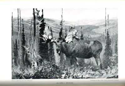 North American Big Game. A Book on the Boone and Crockett Club compiled by the Committe on Records of North American Big Game. (photo 2)