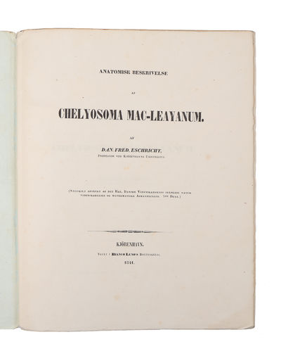 Anatomisk Beskrivelse af Chelyosoma Macleyanum.…