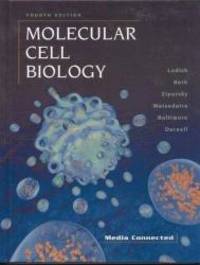 image of Molecular Cell Biology