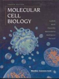 Molecular Cell Biology by Harvey Lodish - 1999-06-05