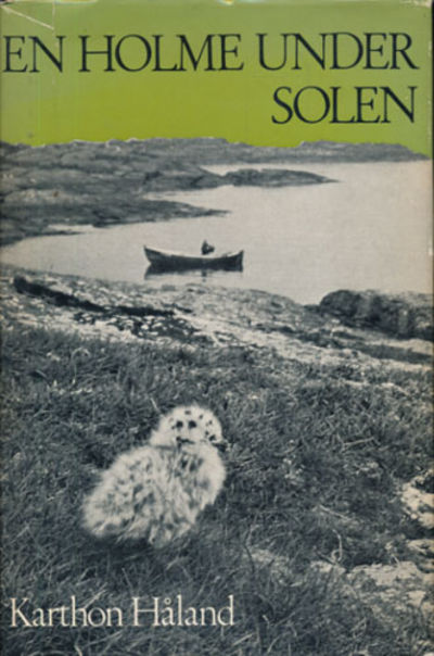 En holme under solen.