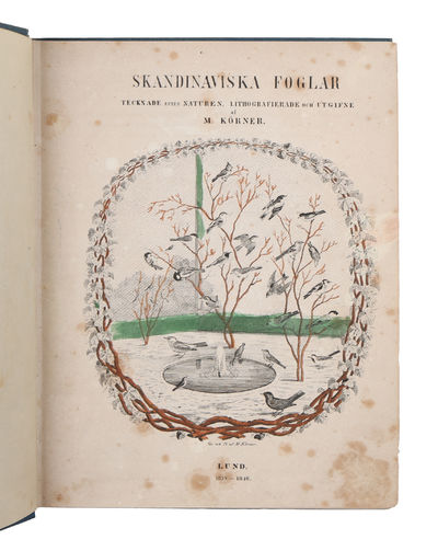 Skandinaviska Foglar. Tecknade efter Naturen,…