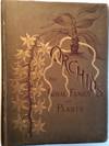 Orchids, the Royal Family of Plants. With illustrations from nature. .