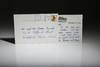Personalized Letter: From First Lady Barbara Bush regarding the death of Dorothy Walker Bush