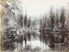 Lake Phoebe, Cottonwood, Utah