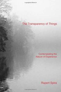 The Transparency of Things: Contemplating the Nature of Experience