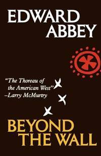 Beyond the Wall : Essays from the Outside