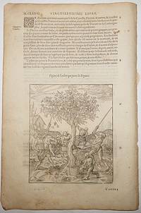 image of 16th-century leaf with two illustrations, one showing the harvesting of white pepper and the other of a still from Ambroise Paré's Distillations