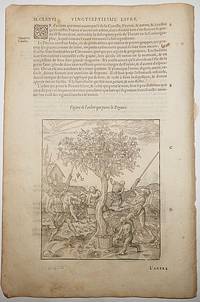 16th-century leaf with two illustrations, one showing the harvesting of white pepper and the other of a still from Ambroise ParÃ©&#039;s Distillations by Ambroise ParÃ© - 1585