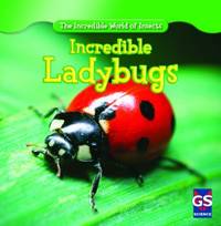 Ladybugs