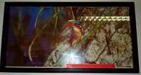 MALACHITE KINGFISHER by PETER JOHNSON - from BOOKLOVERS PARADISE (SKU: 11864)