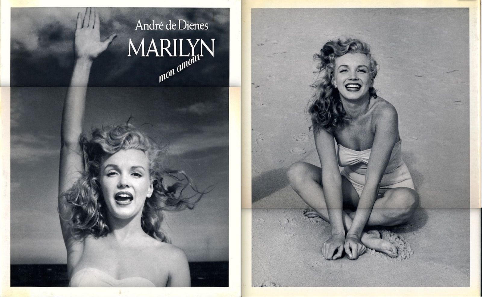 Marilyn mon amour (Softcover edition) by Dienes, Andre de
