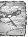 Return to Topaz '93 Recollections, Reflections, Remembrances