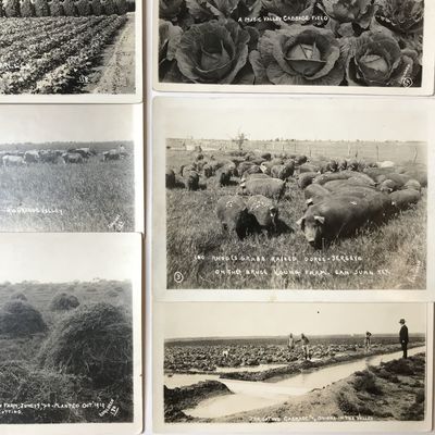 [Ten Original Photographs of McAllen and the Rio Grande Valley]