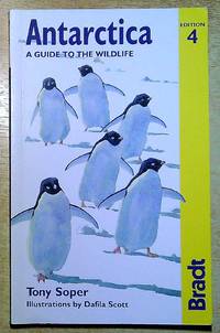 Antarctica Wildlife: A Visitor's Guide