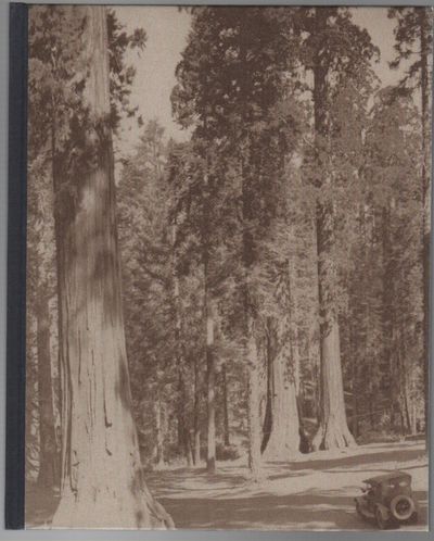 SOME TREES