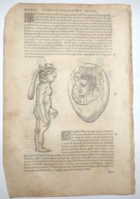 image of 16th-century leaf with four illustrations of conjoined twins and birth defects from Ambroise Paré's Monsters