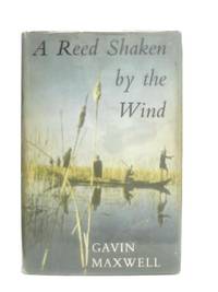 Reed Shaken by the Wind