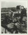 View Image 1 of 2 for Sons and Lovers (Original photograph of Jack Cardiff on the set of the 1960 British film) Inventory #149358